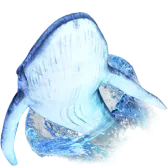 Blue Whale